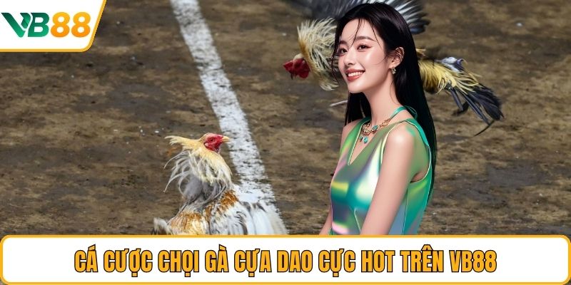 Cá cược chọi gà cựa dao cực hot trên VB88