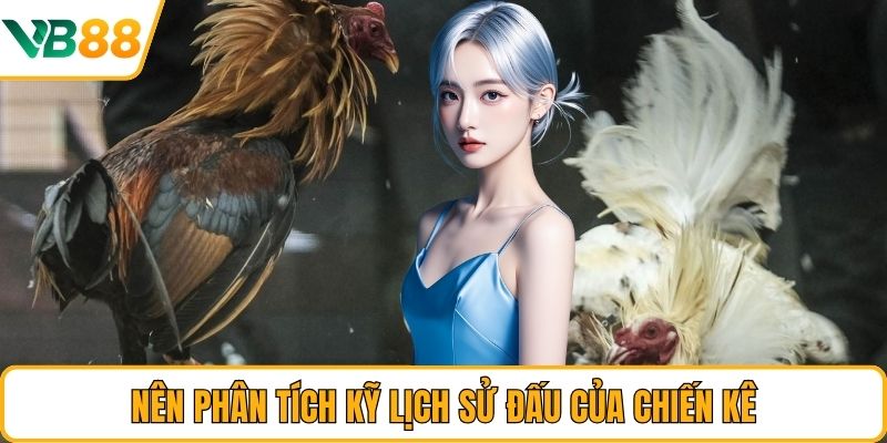 Nên phân tích kỹ lịch sử đấu của chiến kê