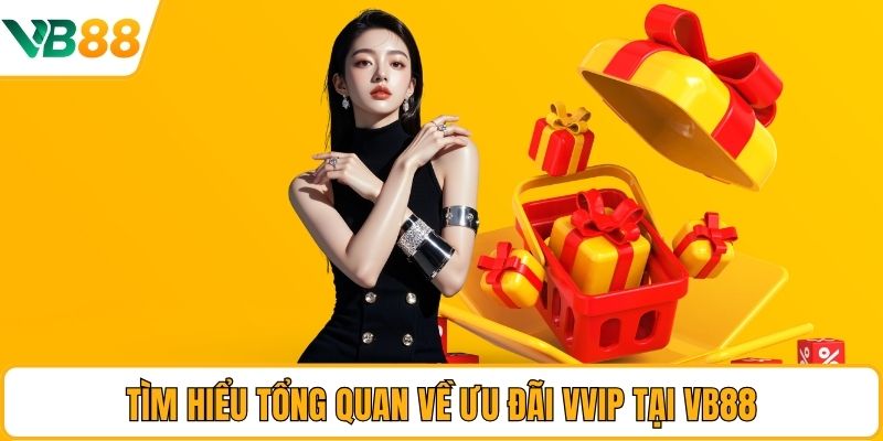 Tìm hiểu tổng quan về ưu đãi VVIP tại VB88
