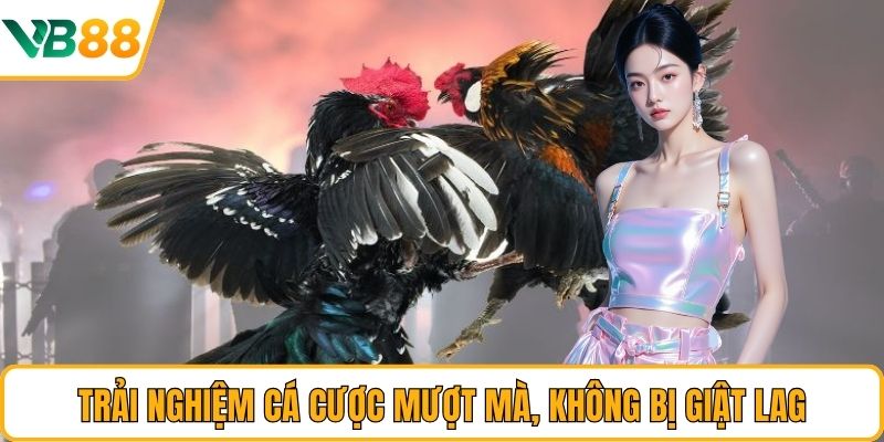 Trải nghiệm cá cược mượt mà, không bị giật lag